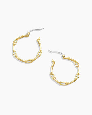 Link Hoops