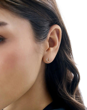 Horseshoe Studs.