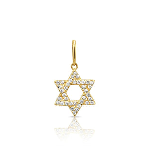 Elegant 14K Yellow Gold Star of David Pendant Necklace.