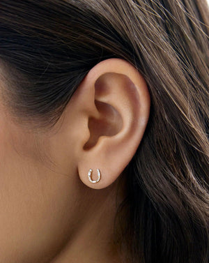 Horseshoe Studs.