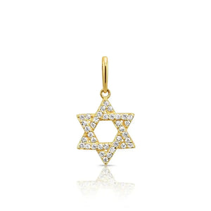 Elegant 14K Yellow Gold Star of David Pendant Necklace.