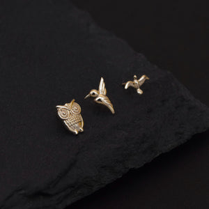 Dazzling 14K Solid Gold Bird Stud Earrings - Owl, Hummingbird & Eagle for Helix, Conch & Tragus.