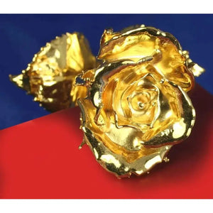 Real Natural Roses Preserved and Dipped in 24K Pure Gold, Gifts for Her, Occasion, Wedding