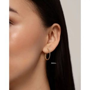 Sparkling Diamond Hoop Earrings.