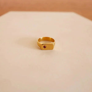Star of the Sea Garnet Signet Ring | Gold Vermeil and Sterling Silver