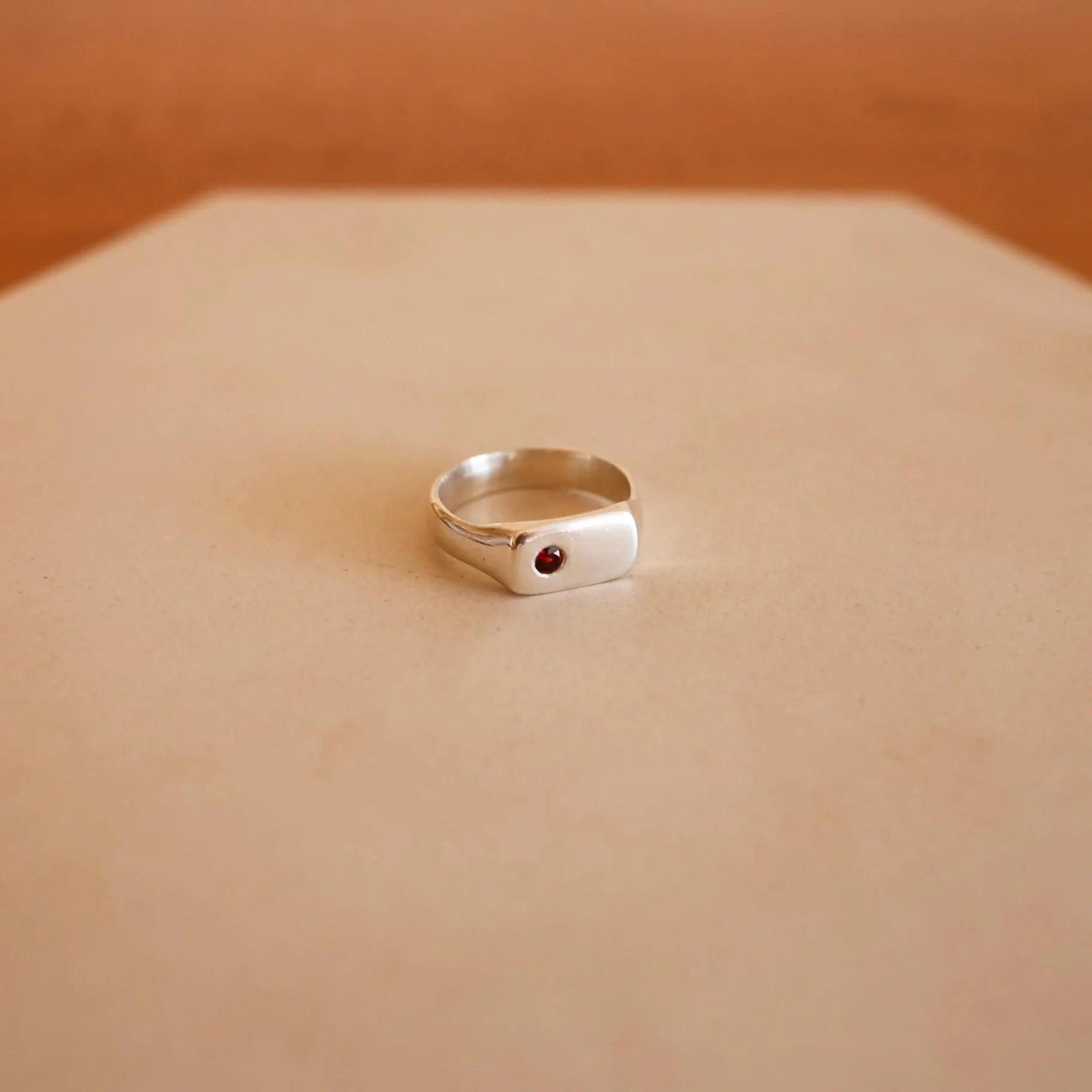 Star of the Sea Garnet Signet Ring | Gold Vermeil and Sterling Silver