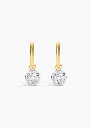 Harlow Hoops NikNenz™ Premium Gold & Diamonds