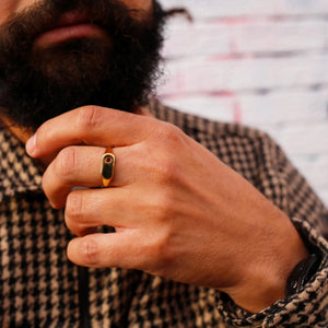 Star of the Sea Garnet Signet Ring | Gold Vermeil and Sterling Silver