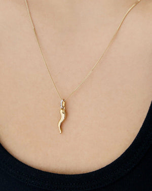 Lucky Cornicello Charm for Protection and Style.