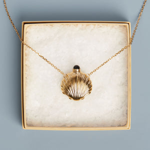 Seashell Bottle Necklace