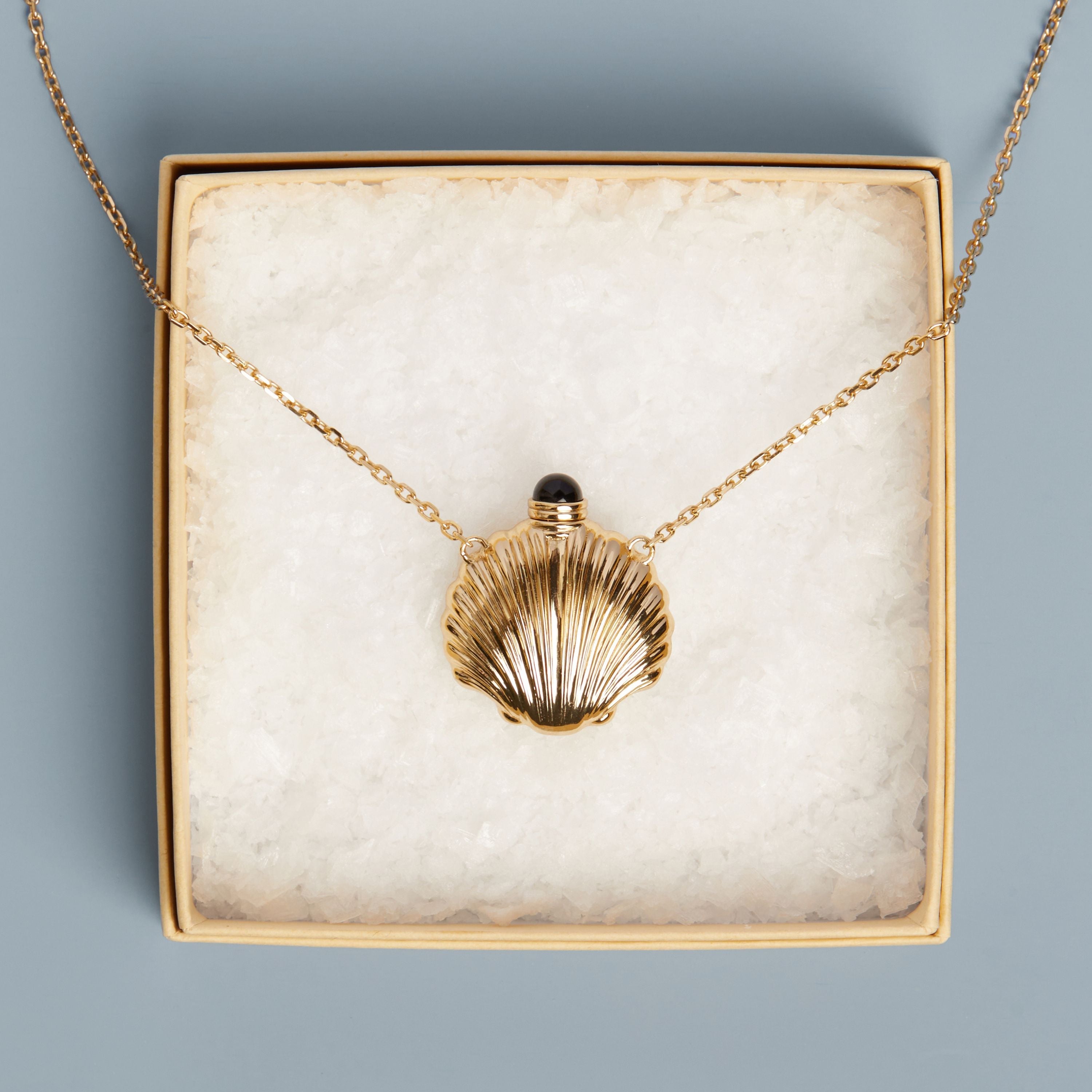 Seashell Bottle Necklace