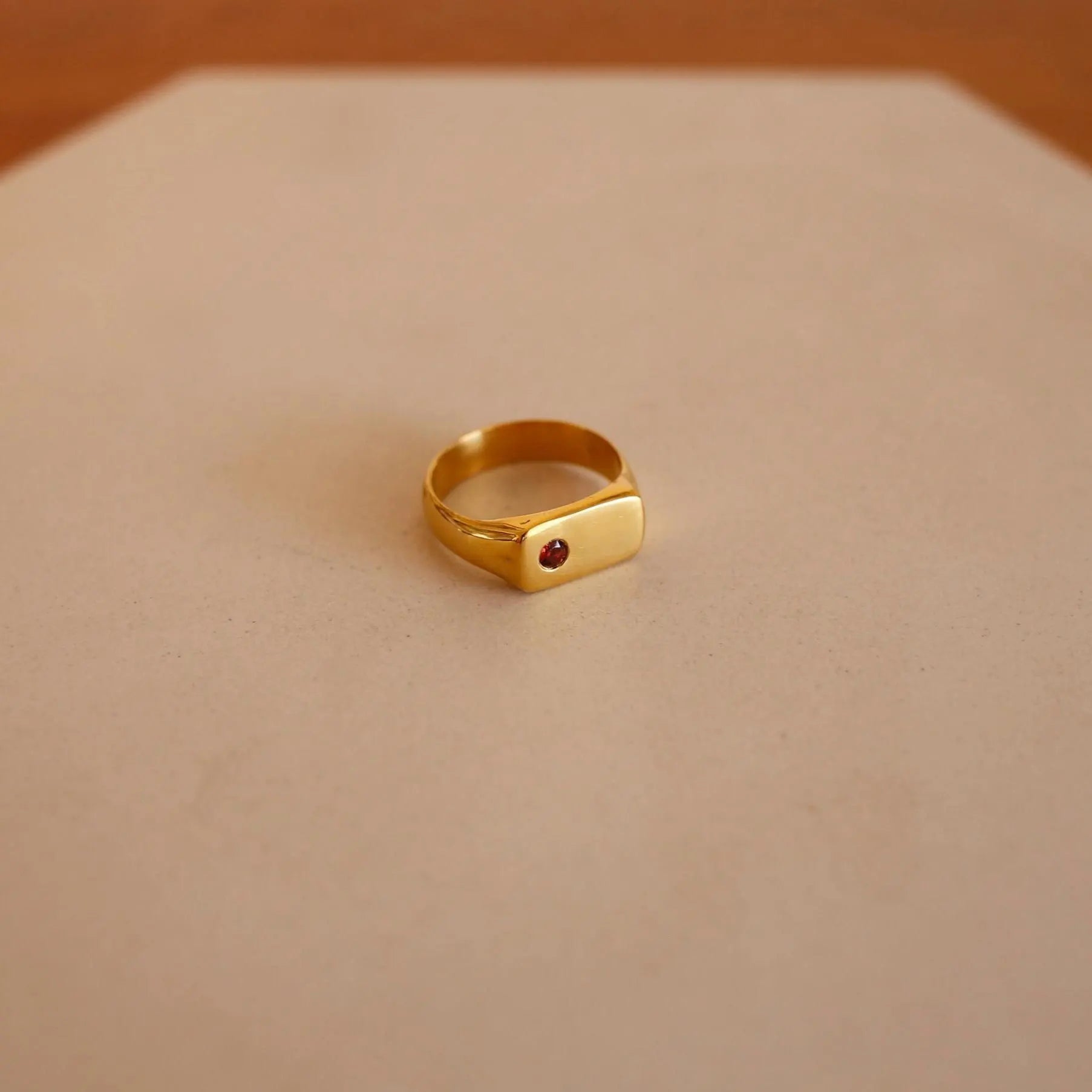 Star of the Sea Garnet Signet Ring | Gold Vermeil and Sterling Silver