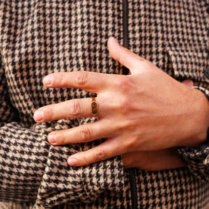Star of the Sea Garnet Signet Ring | Gold Vermeil and Sterling Silver
