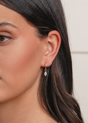 Windsor Hoops NikNenz™ Premium Gold & Diamonds