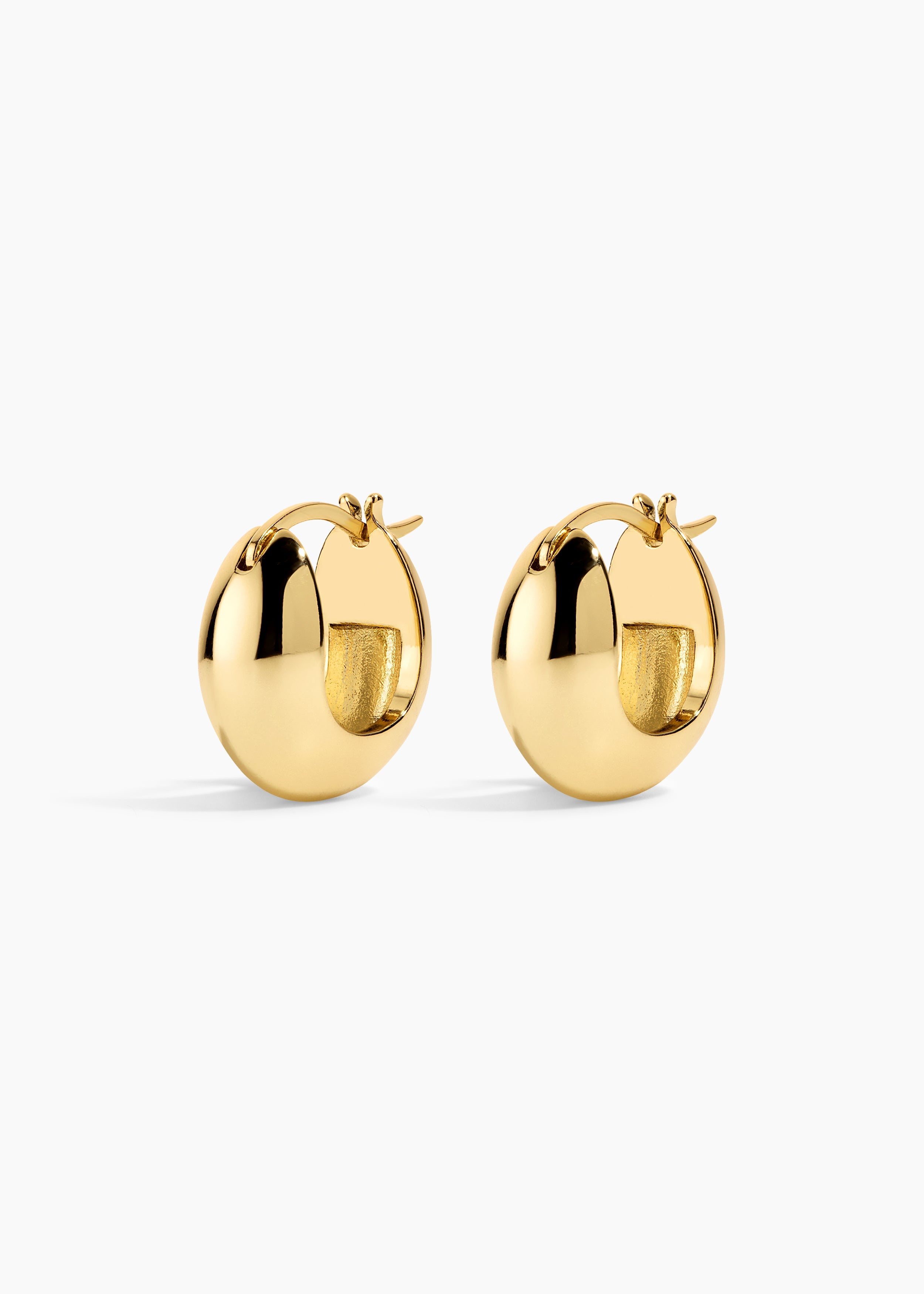 Electric Hoops NikNenz™ Premium Gold & Diamonds
