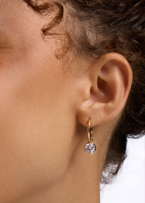 Harlow Hoops NikNenz™ Premium Gold & Diamonds