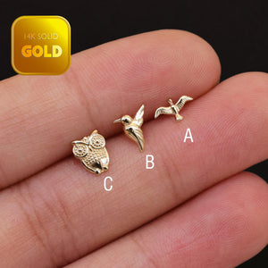 Dazzling 14K Solid Gold Bird Stud Earrings - Owl, Hummingbird & Eagle for Helix, Conch & Tragus.