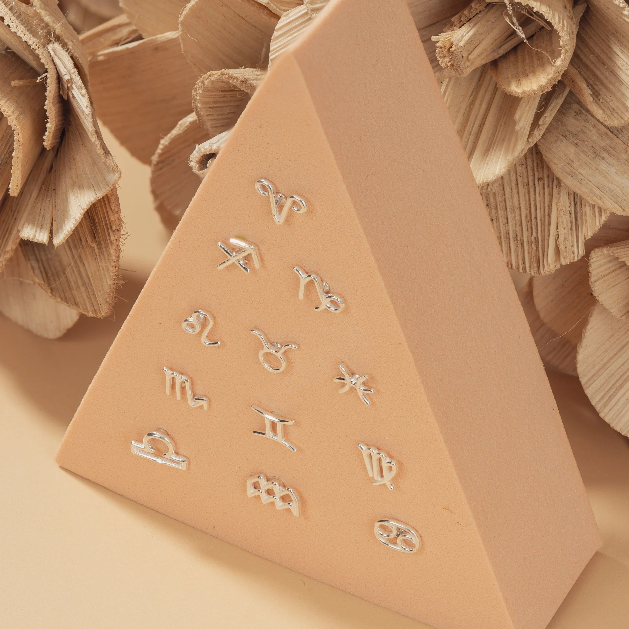 Zodiac Sign Stud Earrings in 925 Sterling Silver | 6Mm | Horoscope & Astrology Jewellery | Perfect Zodiac Sign Gift