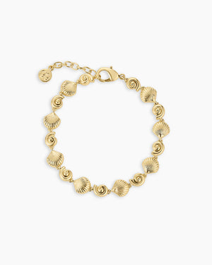 Nautilus Bracelet