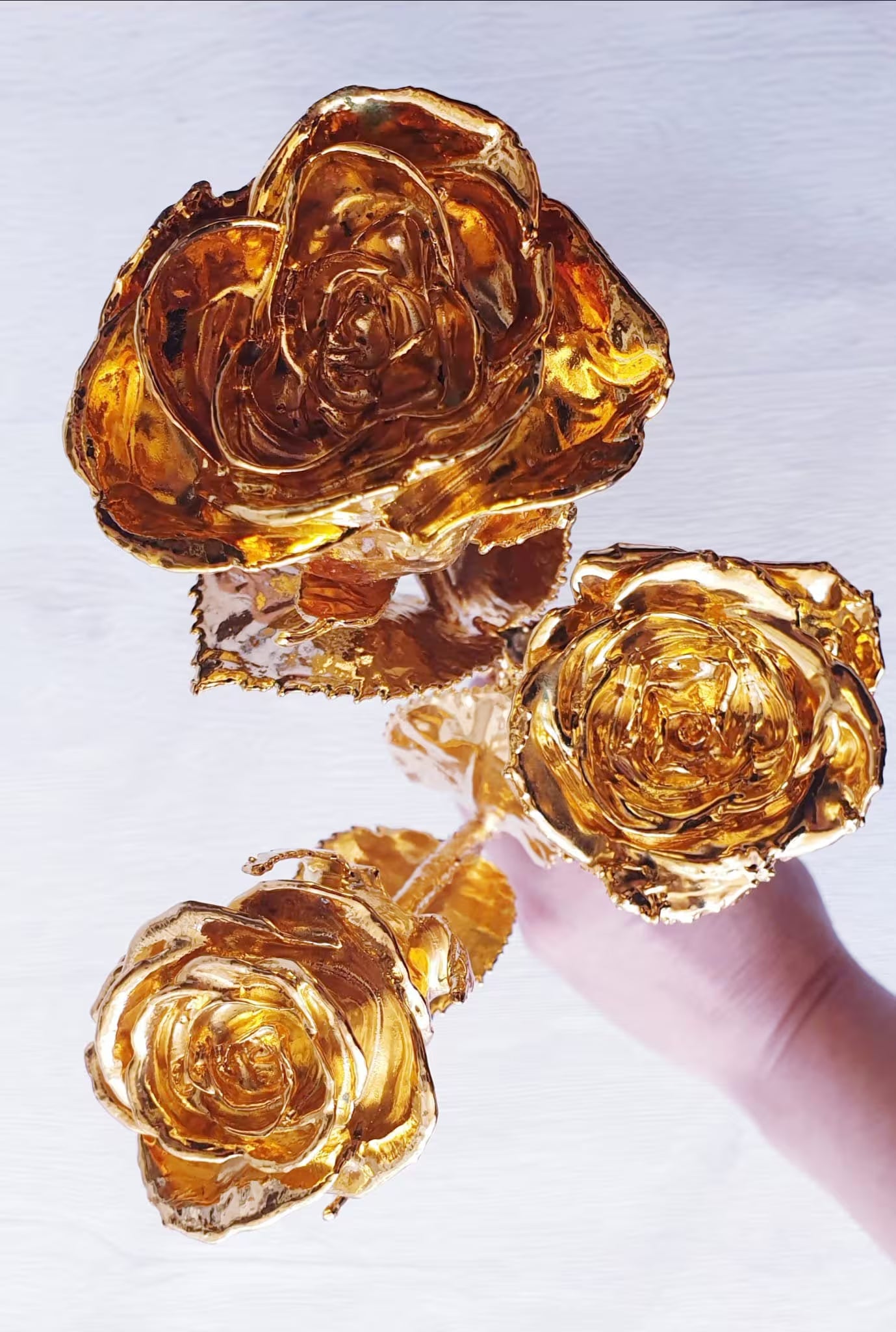 Real Natural Roses Preserved and Dipped in 24K Pure Gold, Gifts for Her, Occasion, Wedding