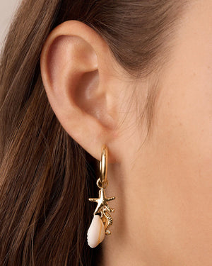 Ocean Cluster Hoops