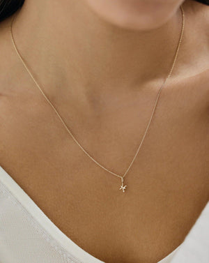 Celestial Zodiac Constellation Necklace.
