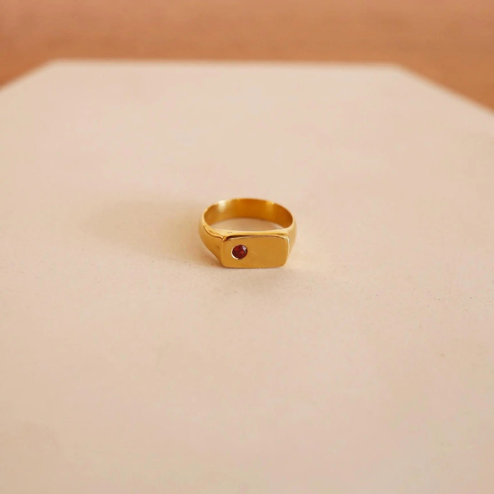 Star of the Sea Garnet Signet Ring | Gold Vermeil and Sterling Silver