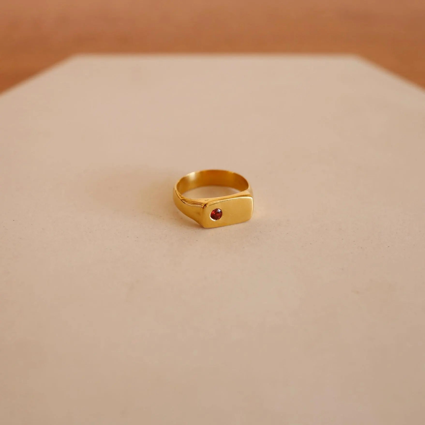 Star of the Sea Garnet Signet Ring | Gold Vermeil and Sterling Silver