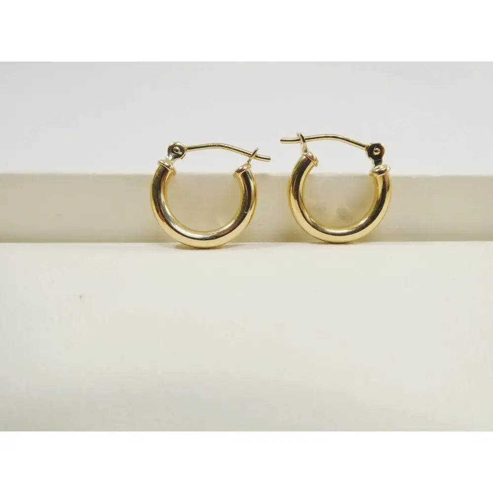 Elegant 10K Yellow Gold Polished 2mm Hoop Earrings for Women.