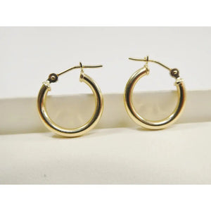 Elegant 10K Yellow Gold Polished 2mm Hoop Earrings for Women.