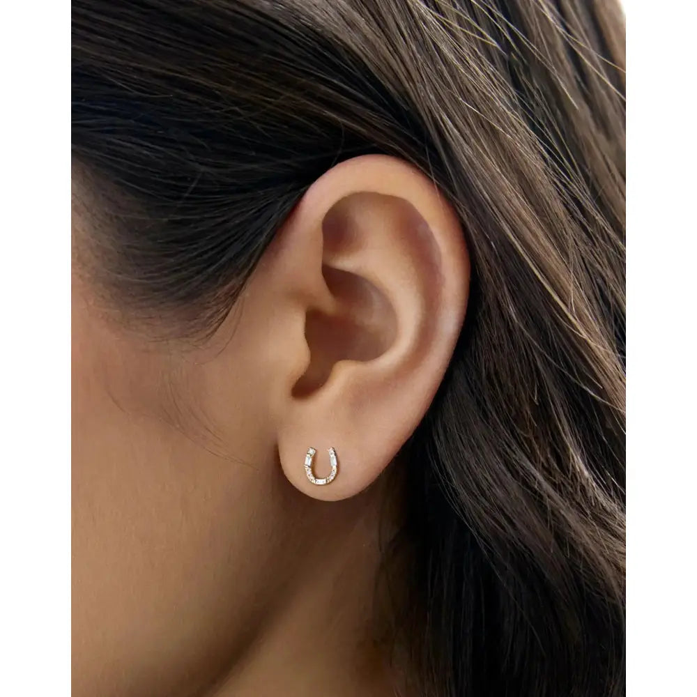 Horseshoe Studs.