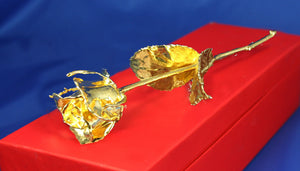 Real Natural Roses Preserved and Dipped in 24K Pure Gold, Gifts for Her, Occasion, Wedding