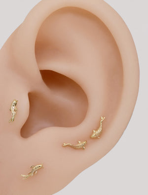 14K Solid Gold Koi Fish Cartilage Earring Tiny Tragus Stud Helix Conch Piercing Cute Stud Earring Minimalist Earrings Flat Back Earring