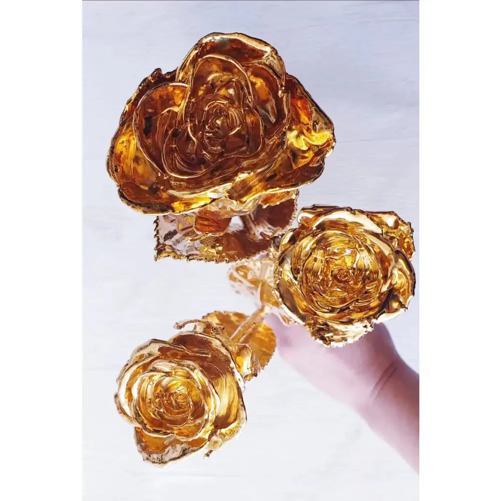 Real Natural Roses Preserved and Dipped in 24K Pure Gold, Gifts for Her, Occasion, Wedding
