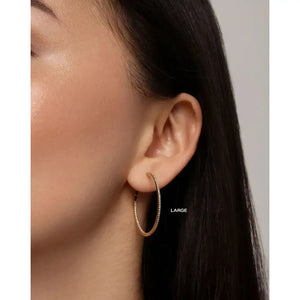 Sparkling Diamond Hoop Earrings.