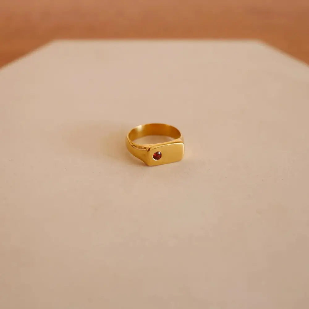 Star of the Sea Garnet Signet Ring | Gold Vermeil and Sterling Silver