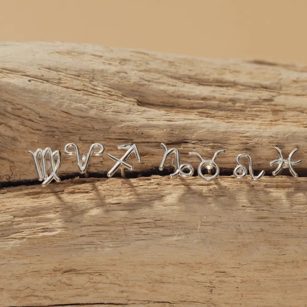 Zodiac Sign Stud Earrings in 925 Sterling Silver | 6Mm | Horoscope & Astrology Jewellery | Perfect Zodiac Sign Gift