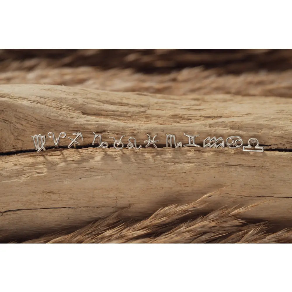 Zodiac Sign Stud Earrings in 925 Sterling Silver | 6Mm | Horoscope & Astrology Jewellery | Perfect Zodiac Sign Gift