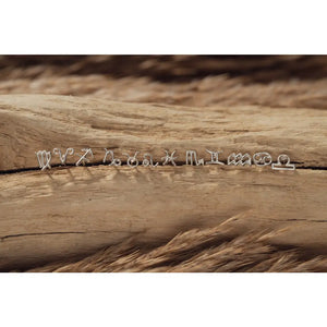 Zodiac Sign Stud Earrings in 925 Sterling Silver | 6Mm | Horoscope & Astrology Jewellery | Perfect Zodiac Sign Gift